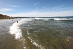 La contaminación por cianobacterias ya es común en el Río de la Plata. 